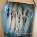 Mackerel As Food Frozen Mackerel Whole Round 400-500 Scomber Japonicus Factory